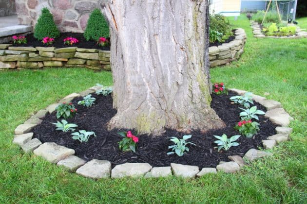 Landscape Perfection: 15 Stunning Ideas for Decorating Around Trees