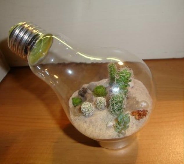 15+ Brilliant Ways to Repurpose Lightbulbs