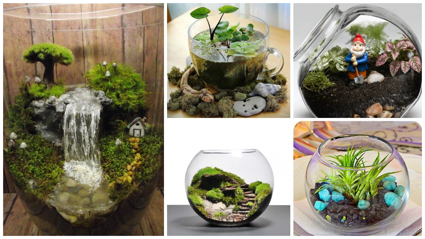 15 Miniature Terrariums Masterpieces