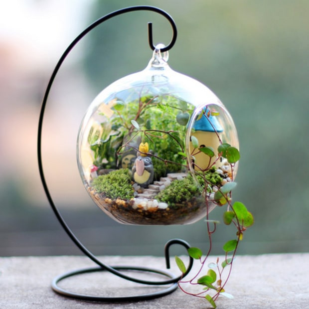 15+ Lovely Terrarium Ideas That Are Simply Amazing