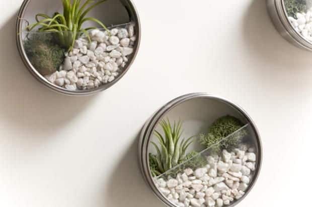 15+ Lovely Terrarium Ideas That Are Simply Amazing