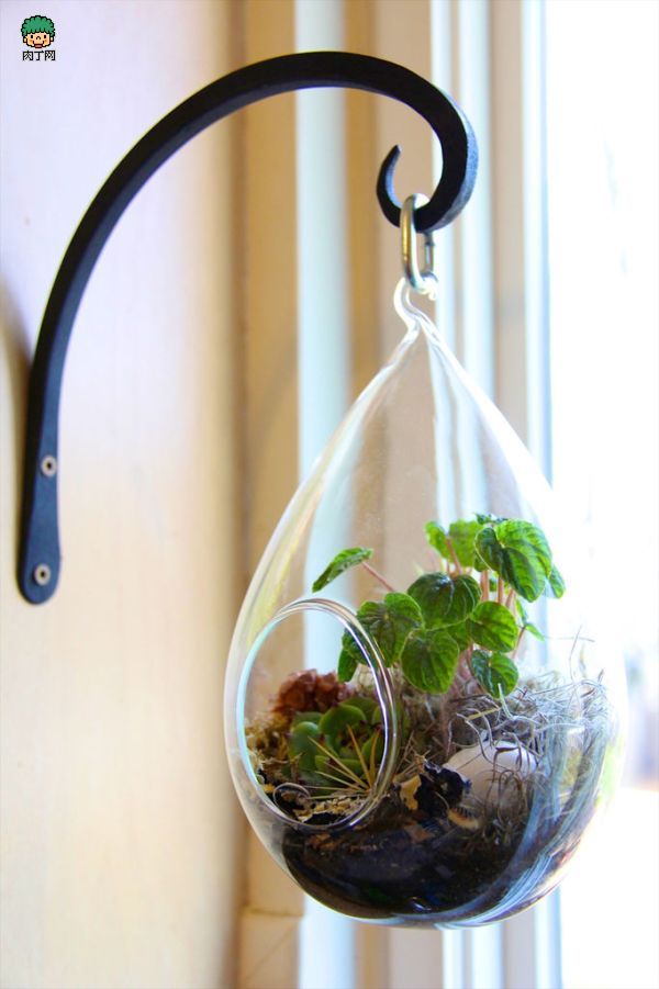 15+ Lovely Terrarium Ideas That Are Simply Amazing