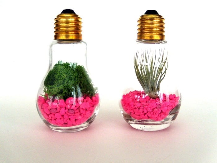 15+ Lovely Terrarium Ideas That Are Simply Amazing