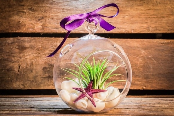 15+ Lovely Terrarium Ideas That Are Simply Amazing