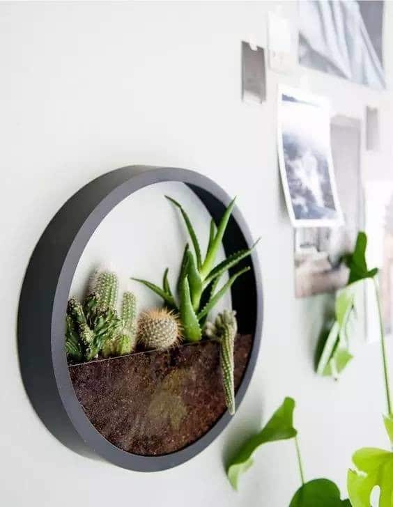 15+ Lovely Terrarium Ideas That Are Simply Amazing