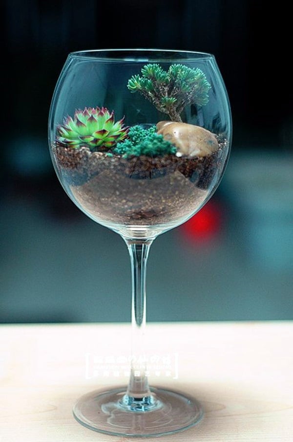 15+ Lovely Terrarium Ideas That Are Simply Amazing