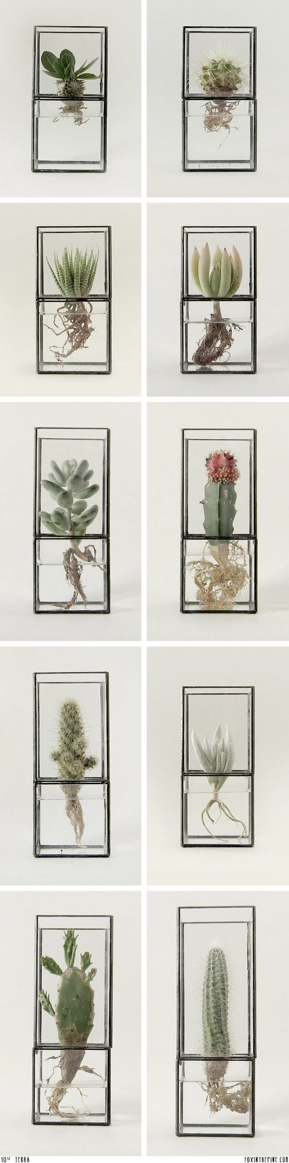 15+ Lovely Terrarium Ideas That Are Simply Amazing