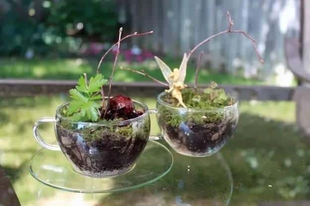 15+ Lovely Terrarium Ideas That Are Simply Amazing