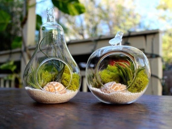 15+ Lovely Terrarium Ideas That Are Simply Amazing