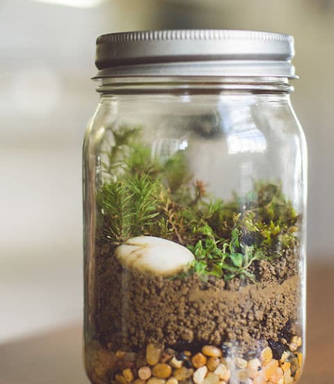 20+ Best Ways to Use Mason Jars in Home Decor