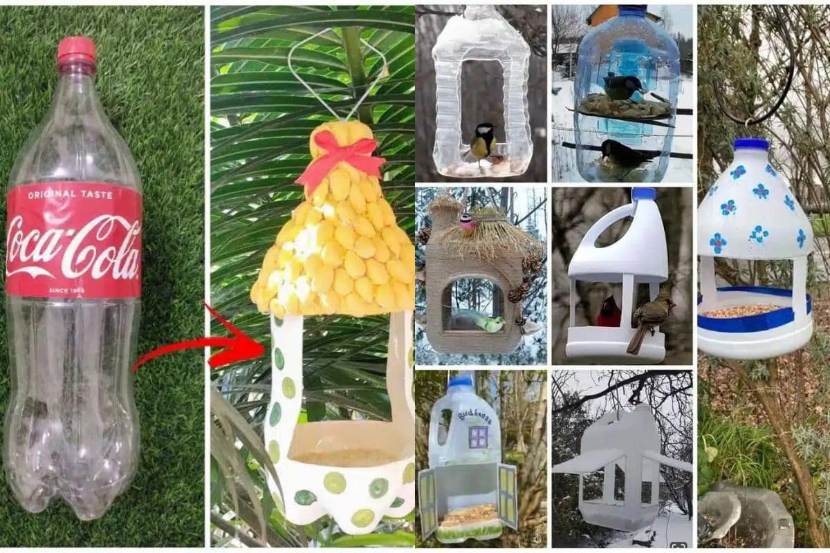 make a cute birdhouse from plastic bottles