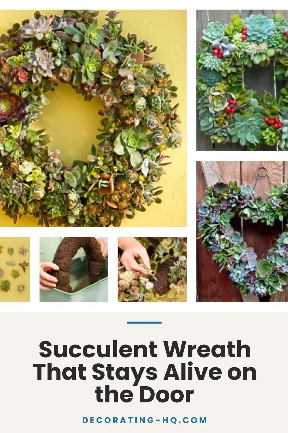 Succulent Wreath That Stays Alive on the Door