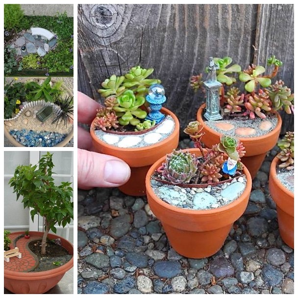 mini garden F