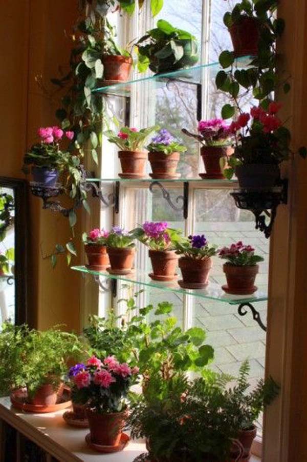 Awesome Indoor Mini Garden Ideas