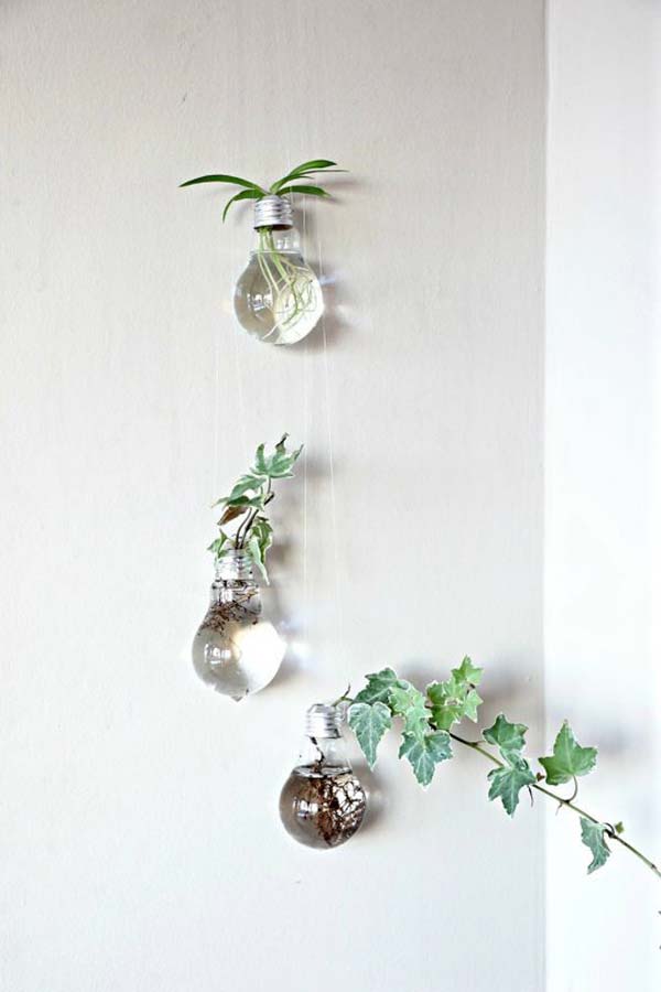 Awesome Indoor Mini Garden Ideas