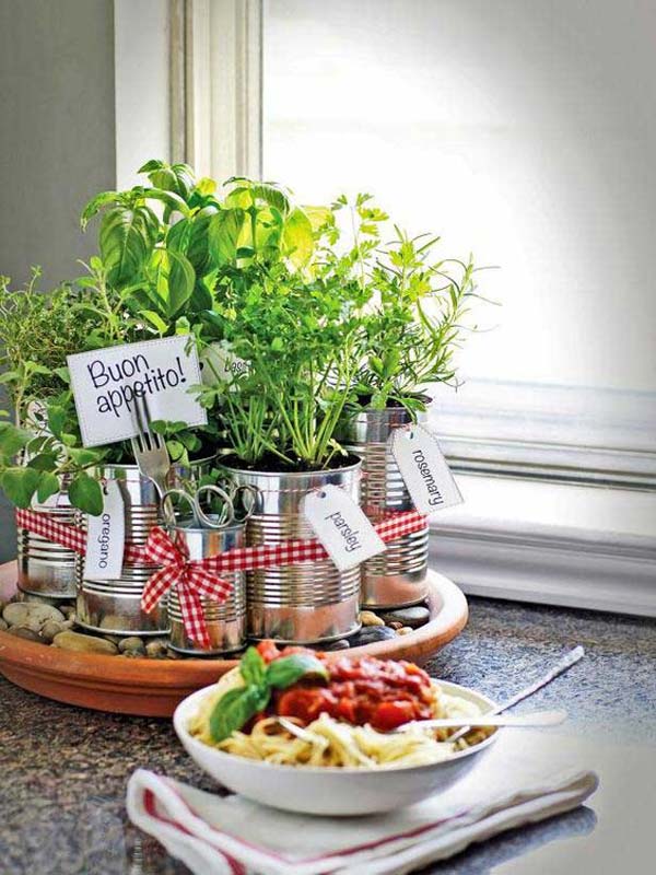 Awesome Indoor Mini Garden Ideas