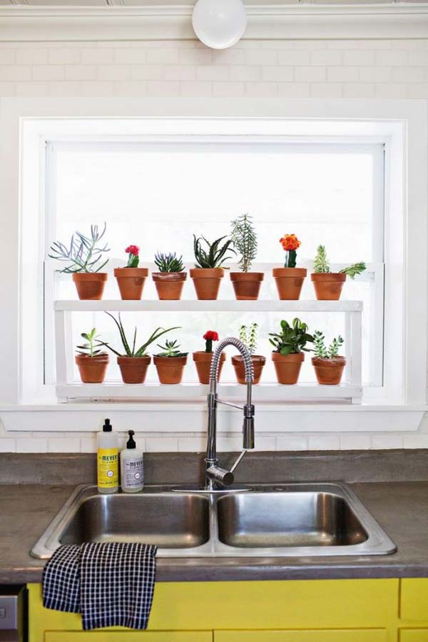 Awesome Indoor Mini Garden Ideas