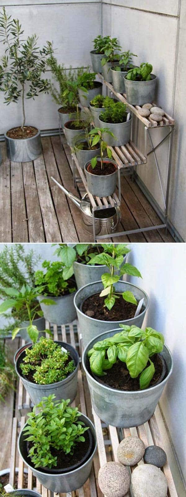 Awesome Indoor Mini Garden Ideas