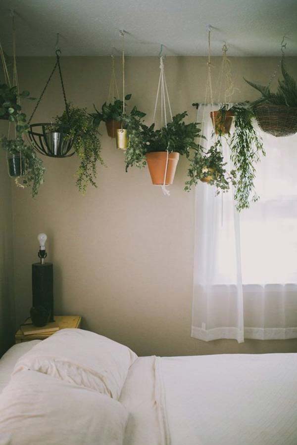 Awesome Indoor Mini Garden Ideas