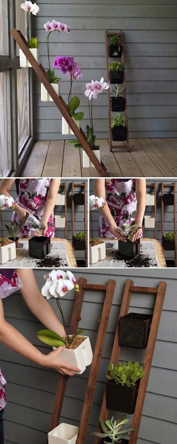 Awesome Indoor Mini Garden Ideas