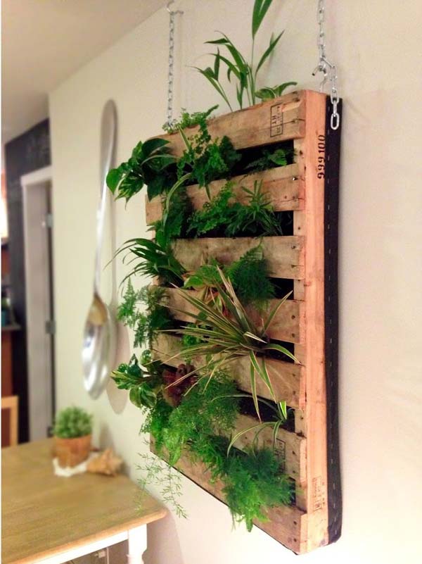 Awesome Indoor Mini Garden Ideas