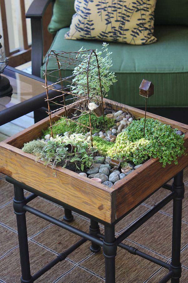 Awesome Indoor Mini Garden Ideas