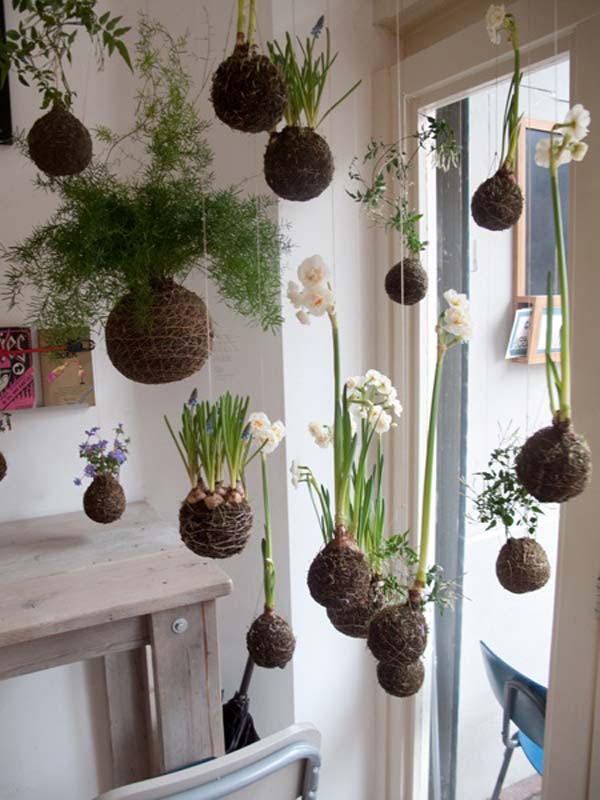 Awesome Indoor Mini Garden Ideas