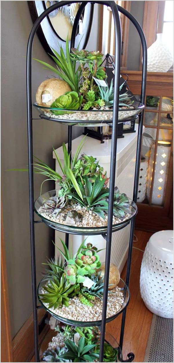 Awesome Indoor Mini Garden Ideas