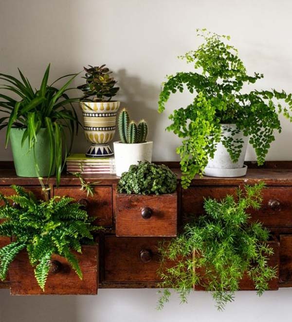 Awesome Indoor Mini Garden Ideas