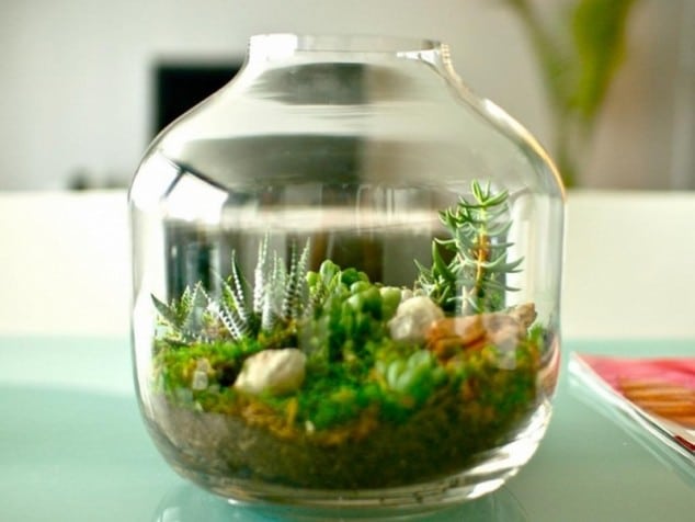 15 Miniature Terrariums Masterpieces