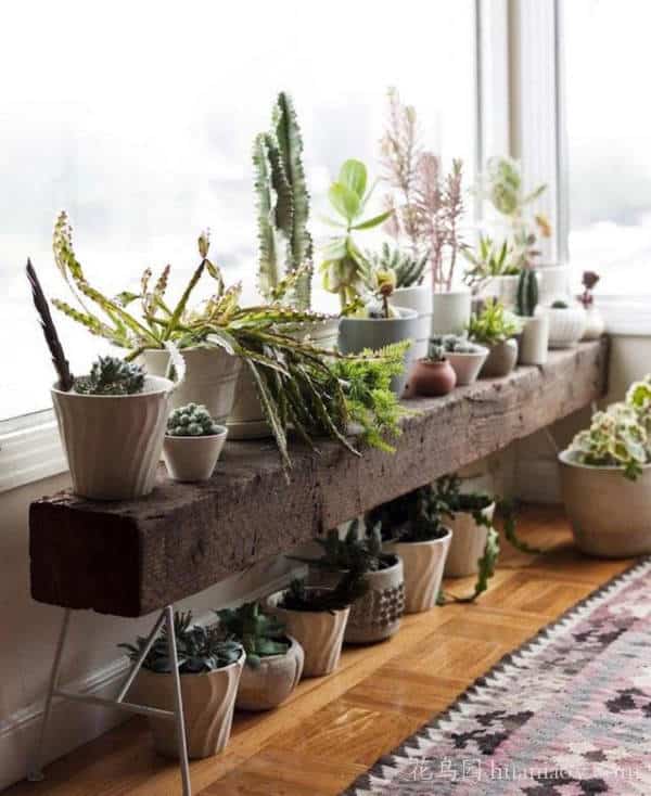 15+ Modern Planter Stands