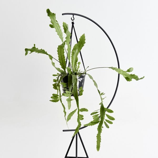 modern-planter-stands-7