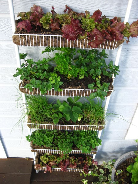 10+ DIY Vertical Garden Ideas