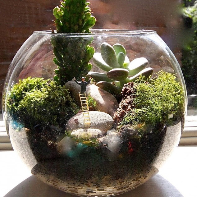 15 Miniature Terrariums Masterpieces