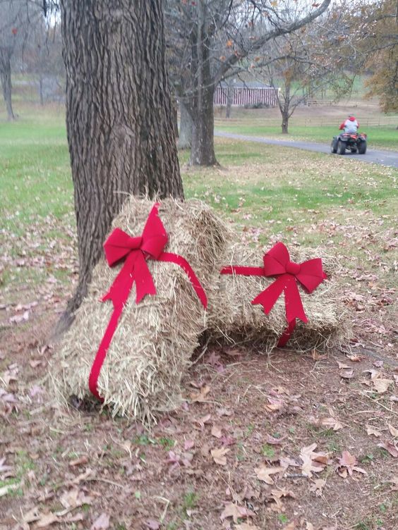 outdoor christmas decoration