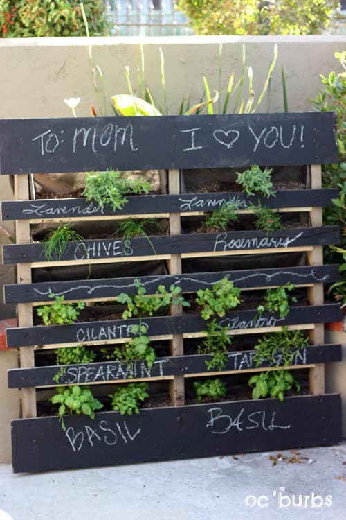 15+ Fantastic DIY Pallet Planters