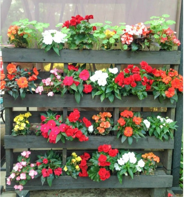 pallets-planters-12