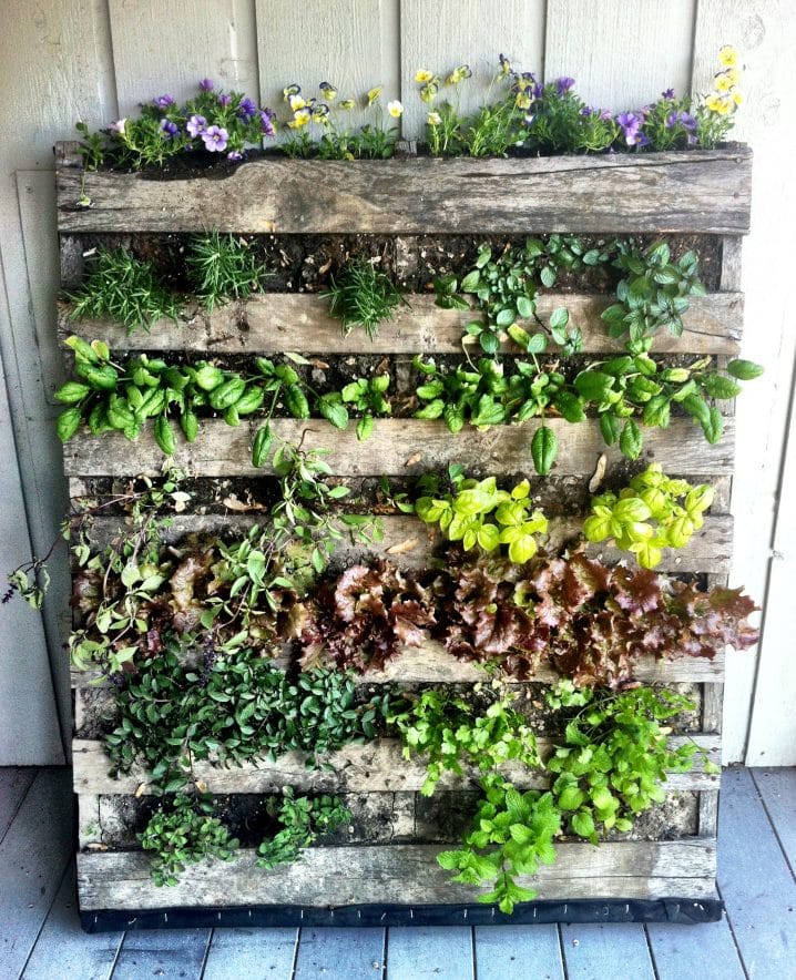 Awesome DIY Pallet Planters