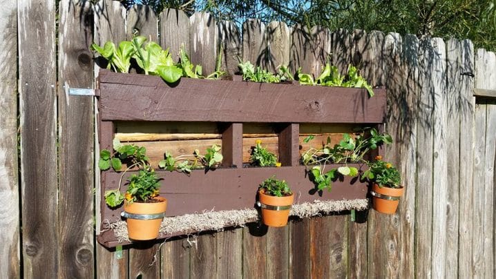 Awesome DIY Pallet Planters