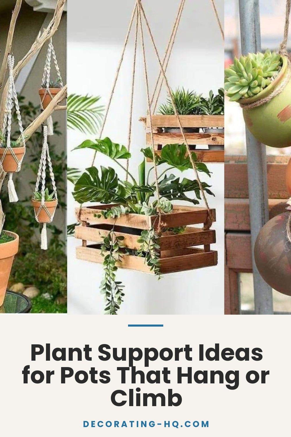 Plant Support Ideas for Pots That Hang or Climb