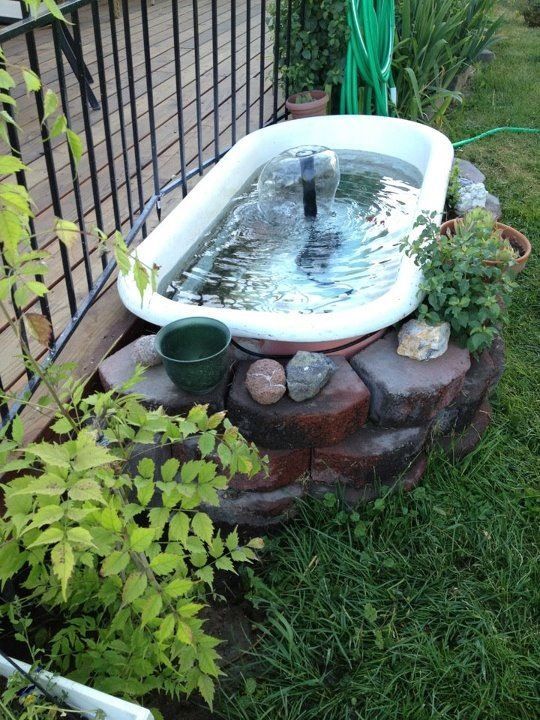 Bathtubs turned into beautiful ponds for your garden