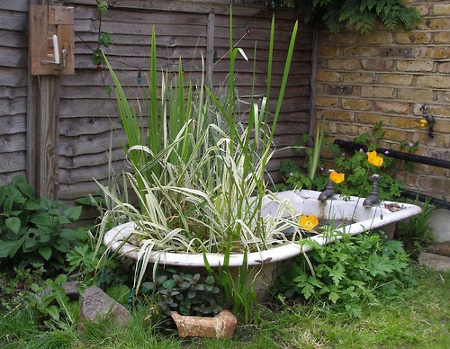 Bathtubs turned into beautiful ponds for your garden