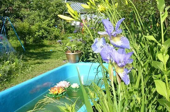 Bathtubs turned into beautiful ponds for your garden