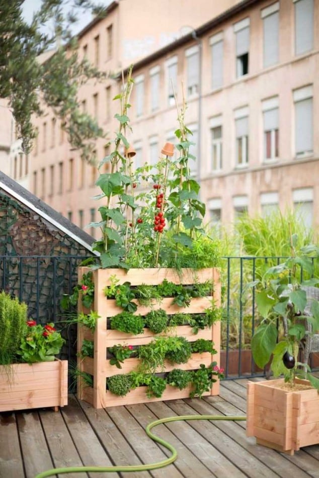 10+ DIY Vertical Garden Ideas