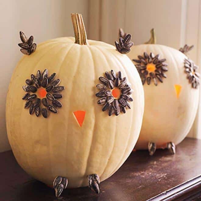 10+ DIY Pumpkin Decorations