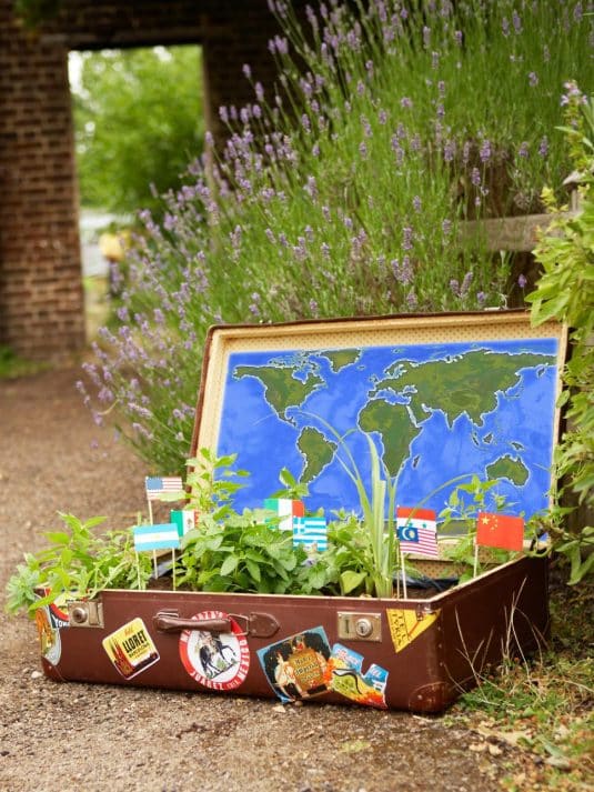 repurposed-old-suitcases-5