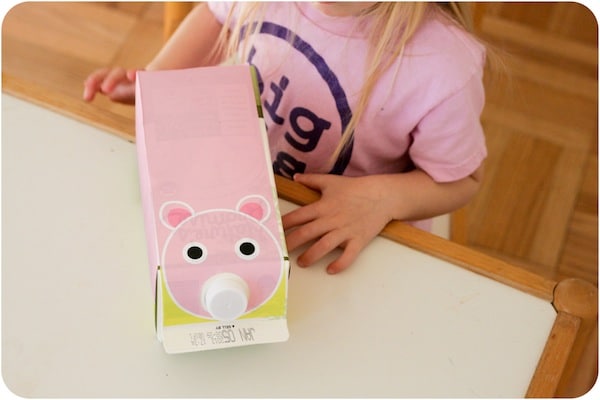 15+ Creative Ways to Reuse Milk Cartons