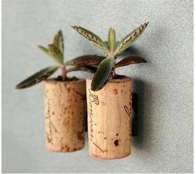 Creative Ideas on Planter & Vase DIY