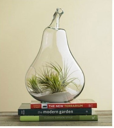 Creative Ideas on Planter & Vase DIY