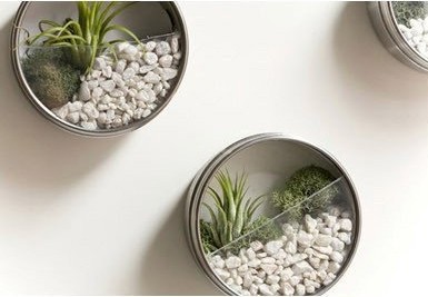 Creative Ideas on Planter & Vase DIY